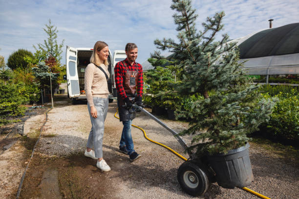 Best Fruit Tree Pruning  in Woodburn, OR